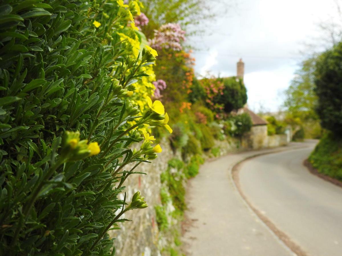 Church Combe - Petworth West Sussex Hotell Eksteriør bilde